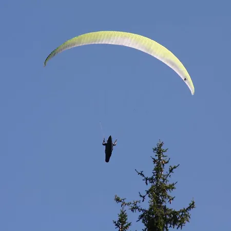 Apartamento Gaestehaus Johannes Niedernsill