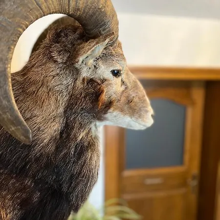 アパート Gaestehaus Johannes *