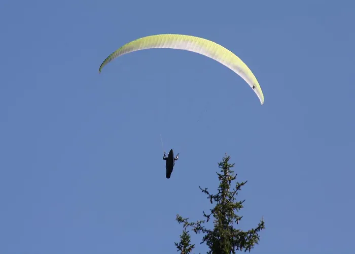 Appartement Gaestehaus Johannes Niedernsill